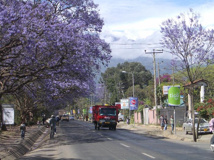 170_straatbeeld in Arusha